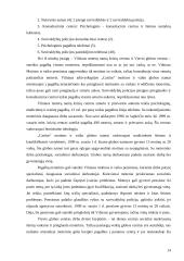 Smurtas prieš moterį šeimoje: mitai ir realybė 14 puslapis