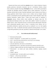 Smurtas prieš moterį šeimoje: mitai ir realybė 7 puslapis