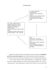 Smurtas prieš moterį šeimoje: mitai ir realybė 8 puslapis