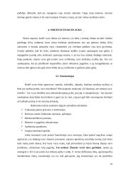 Smurtas prieš moterį šeimoje: mitai ir realybė 10 puslapis