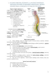 Anatomija. Išsamus konspektas 11 puslapis
