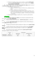 Anatomija. Išsamus konspektas 16 puslapis