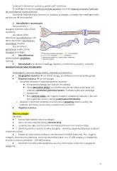 Anatomija. Išsamus konspektas 4 puslapis