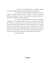 Fizinė prievarta prieš moterį 17 puslapis