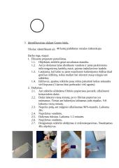 Mikrobiologijos laboratorinių darbų ataskaita 3 puslapis