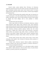 Inovacijų projektų valdymo metodologijos aukštųjų technologijų sektoriuje 8 puslapis