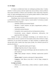 Inovacijų projektų valdymo metodologijos aukštųjų technologijų sektoriuje 9 puslapis