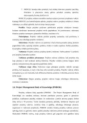 Inovacijų projektų valdymo metodologijos aukštųjų technologijų sektoriuje 11 puslapis