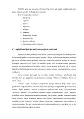 Inovacijų projektų valdymo metodologijos aukštųjų technologijų sektoriuje 13 puslapis