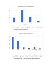 Inovacijų projektų valdymo metodologijos aukštųjų technologijų sektoriuje 15 puslapis