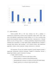 Inovacijų projektų valdymo metodologijos aukštųjų technologijų sektoriuje 16 puslapis