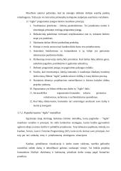 Inovacijų projektų valdymo metodologijos aukštųjų technologijų sektoriuje 17 puslapis