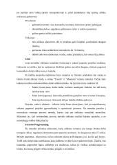 Inovacijų projektų valdymo metodologijos aukštųjų technologijų sektoriuje 19 puslapis