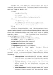 Inovacijų projektų valdymo metodologijos aukštųjų technologijų sektoriuje 20 puslapis