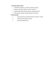 Inovacijų projektų valdymo metodologijos aukštųjų technologijų sektoriuje 3 puslapis