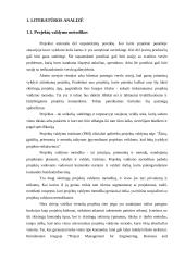 Inovacijų projektų valdymo metodologijos aukštųjų technologijų sektoriuje 4 puslapis