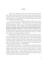 Smurtas bei prievarta šeimoje 2 puslapis