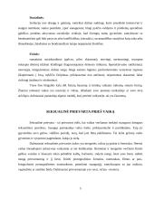 Smurtas ir smurtas šeimoje 5 puslapis