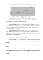 Socialinė parama bei apsauga Lietuvoje 12 puslapis
