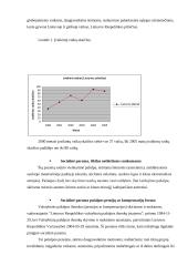 Socialinė parama bei apsauga Lietuvoje 5 puslapis