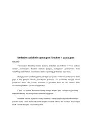 Socialinė parama bei apsauga Lietuvoje 9 puslapis