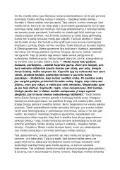 Meilės tema Igno Šeiniaus romane „Kuprelis“ 2 puslapis