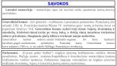 Viduramžių valstybė: tarp ankstyvosios ir luominės monarchijos 13 puslapis