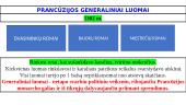 Viduramžių valstybė: tarp ankstyvosios ir luominės monarchijos 15 puslapis