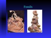 Darwin’s Theory of Evolution 12 puslapis