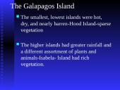 Darwin’s Theory of Evolution 13 puslapis