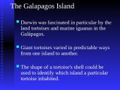 Darwin’s Theory of Evolution 14 puslapis