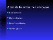 Darwin’s Theory of Evolution 16 puslapis