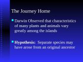 Darwin’s Theory of Evolution 18 puslapis