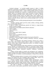 Socialinė pašalpa