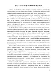 Socialinės pedagogikos mokslas 2 puslapis