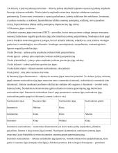 Reabilitacijos konspektas 2 puslapis