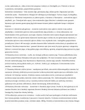 Reabilitacijos konspektas 3 puslapis