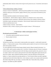 Reabilitacijos konspektas 4 puslapis