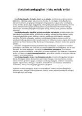 Kas yra socialinė pedagogika? 2 puslapis