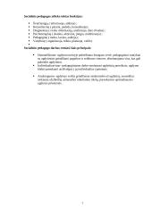 Kas yra socialinė pedagogika? 4 puslapis