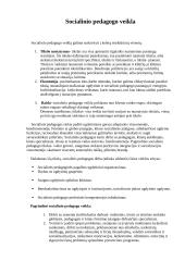 Kas yra socialinė pedagogika? 5 puslapis