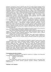Problemos kylančios dėl netiesioginių mokesčių administravimo 3 puslapis