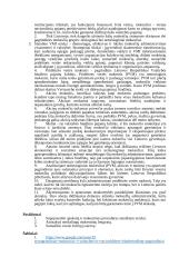 Problemos kylančios dėl netiesioginių mokesčių administravimo 9 puslapis