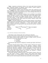 Socialinės pedagogikos mokslo raida, ryšys su kitais mokslais bei tyrimai 5 puslapis