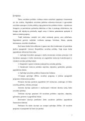 Socialinė politika 2 puslapis