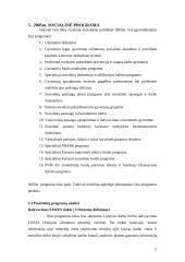 Socialinė politika 11 puslapis