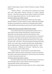 Socialinė politika 13 puslapis