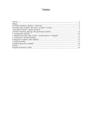 Socialinė statistika 2 puslapis