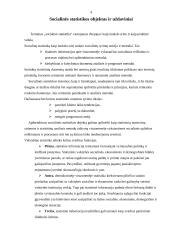 Socialinė statistika 4 puslapis