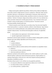 Socialinė statistika 7 puslapis